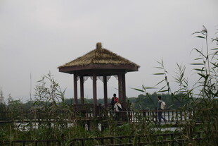 湖畔凉亭 静谧悠然景致