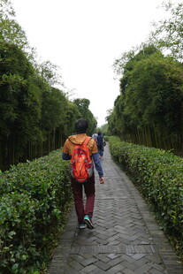 徒步者穿行在绿植环绕小道