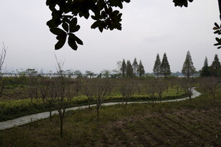 郊外田园风光景色