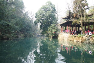 清幽河畔的闲适景致