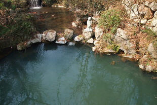 山间清幽水潭景色