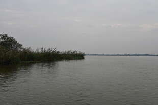 宁静湖边的自然景致