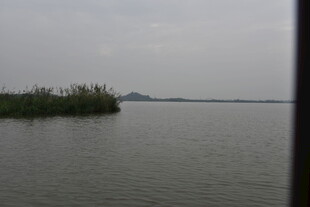 宁静湖面与岸边绿植景观