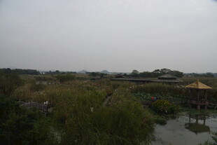 乡村自然风光景观