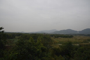 雾霭中的山林景致