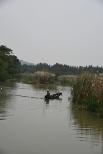 水乡小船悠然行