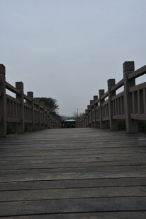 木质栈道延伸向远方