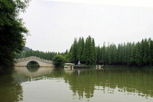 湖畔石桥 绿意盎然之景