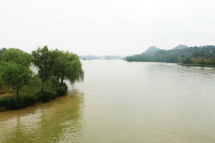 河畔绿树环绕的宁静水域