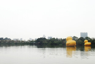 湖面上的黄色充气雕塑