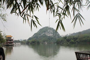 山水湖畔景 竹影映清波