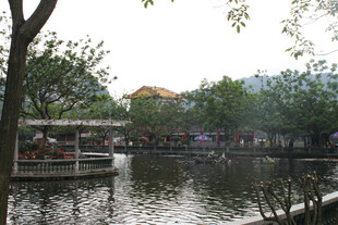 湖畔风景 静谧宜人