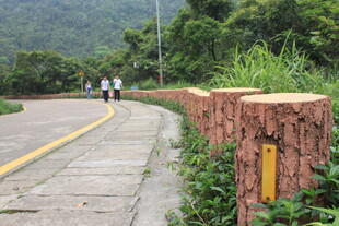 路边特色石墙与行人风景