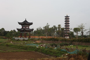 湛江田园中的古式建筑与宝塔