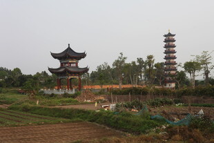 湛江田园中的古典亭塔景观