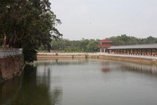 湛江宁静湖畔风光