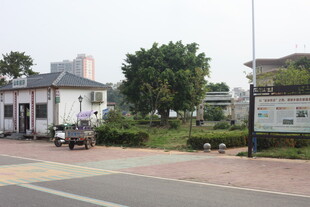 湛江小镇街道旁的建筑景象