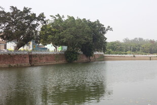 湛江宁静湖边景致