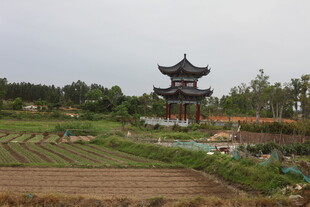 湛江田园中的中式古亭景观