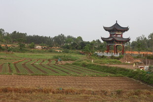 湛江田园古塔风景