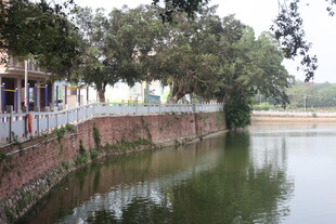 湛江河畔砖墙风景