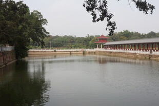 湛江宁静池塘景观