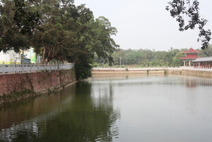 湛江宁静河畔风光