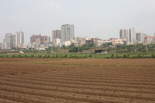 湛江城郊农田与远处高楼景观