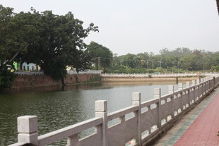 湛江湖畔护栏旁的宁静景致