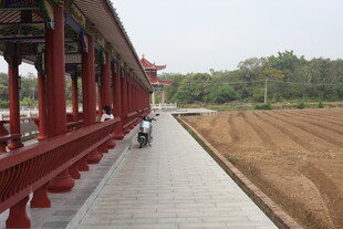 湛江红廊旁的乡村骑行小道