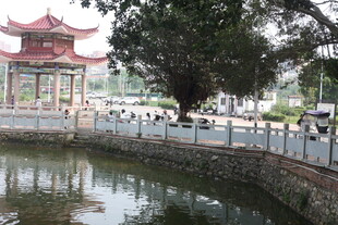 湛江中式亭阁旁的水边景致