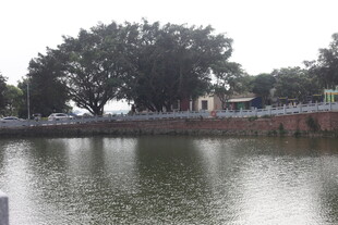 湛江宁静湖畔风景