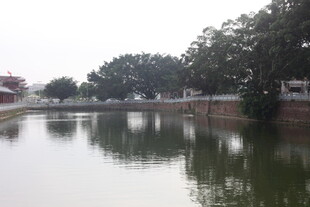 湛江宁静河畔风光