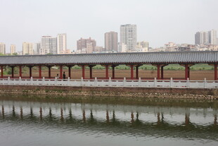 湛江河畔长廊与城市天际线