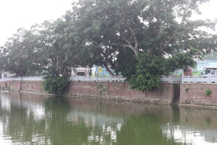 湛江河边绿树环绕的静谧水景