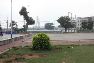 湛江户外空旷场地绿植景观