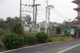湛江道路旁的电力设施与景观