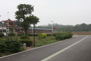 湛江乡村公路旁的宁静景致