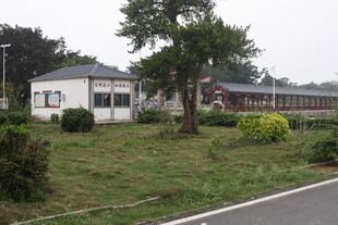 湛江乡村路旁的房屋与绿植