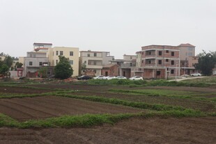 湛江乡村田野旁的居民楼房