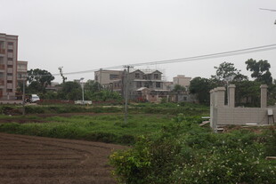 湛江城郊田野与建筑景观