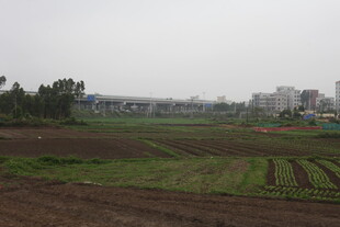 湛江田野风光 农田与远处建筑