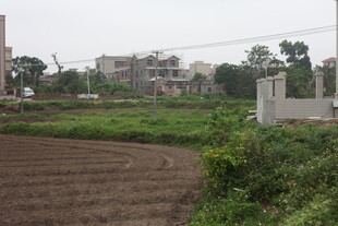 湛江乡村田野与远处建筑景观