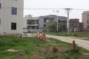 湛江乡村路旁建筑与绿化景观