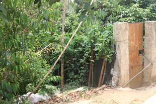 野外绿植环绕的陈旧木栅栏