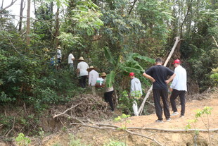 湛江众人林间开展植树活动