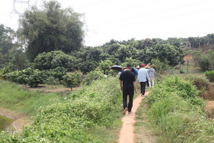 山间小径上的徒步人群