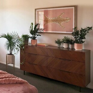 复古木质边柜旁的绿植装饰