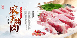 猪肉海报