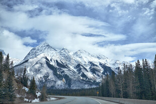 雪山森林间的公路美景